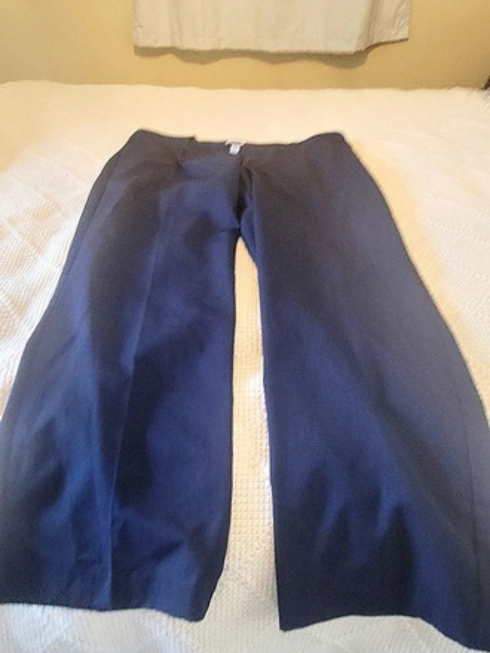 IZOD Men's Dress/Golf Pants Blue Size 38x30 Like New
